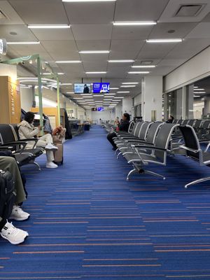 JetBlue Airways by null