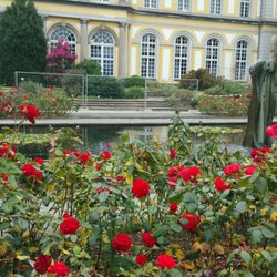 Poppelsdorfer Schloss - Botanischer Garten