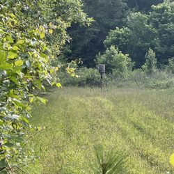 Great Southern Outdoors - View from my blind