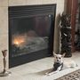 Photo of Front Range Fireplace & Stove