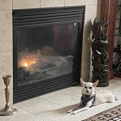 Front Range Fireplace & Stove - Gas insert