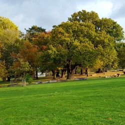 Brockwell Park Community Partners