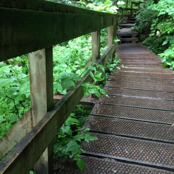 Baden Powell Trail - Lots of wooden steps and flat surfaces, making hiking that much easier for those with less experience. - Hiking Near Me - North Vancouver, British Columbia Baden Powell Trail - Lots of wooden steps and flat surfaces, making hiking that much easier for those with less experience. - Hiking Near Me - North Vancouver, British Columbia
