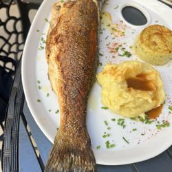 La Cantina - Roasted Sea Bass with Mashed