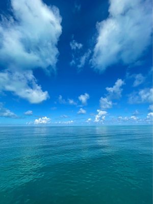 Captain Hook’s Big Pine Key by null