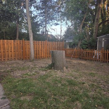 Roques Tree Service - Tree stump - Tree Services Near Me - Commerce Township, Michigan Roques Tree Service - Tree stump - Tree Services Near Me - Commerce Township, Michigan