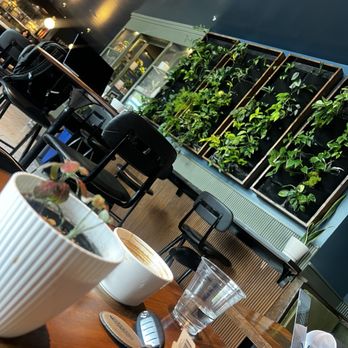 The Optimist - Back of the house view - Coffee & Tea Near Me - Raleigh, North Carolina