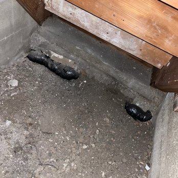Shield insulation & Pest L&D - Crawl space - Pest Control Near Me