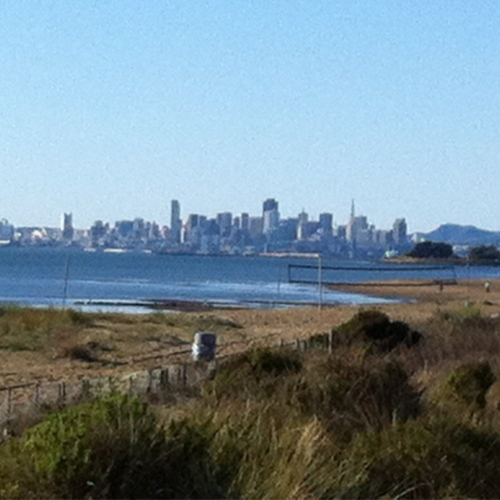 Alameda Beach - Beaches Near Me - Alameda, California Alameda Beach - Beaches Near Me - Alameda, California