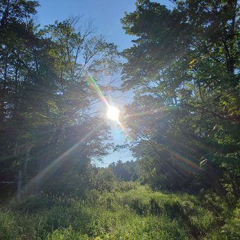 Killarney Provincial Park - Good morning world! Bottom of site 101 at the beach looking up! - Parks Near Me - Killarney, Ontario