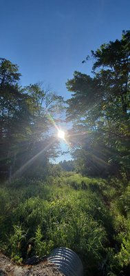 Killarney Provincial Park by null