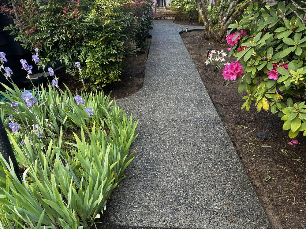 Slide of Apex Pro Kleening