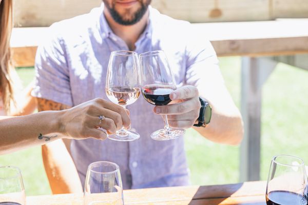 Four Winds Vineyard by null