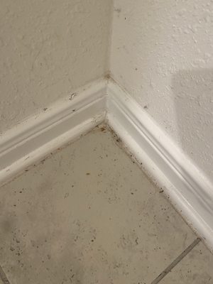 Sam's Cleaning and Hauling - Sugar Land