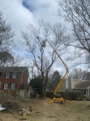 Tree Removal - Here at Flatout Stump Grinding we specialize in hard to access stump and tree removal with four years experience. Fully insured stump removal, serving Pender New Hanover and Onslow counties. Providing the best service I can with the tools and talents God has blessed me with. Call 910-445-7060 . Tree Removal - Here at Flatout Stump Grinding we specialize in hard to access stump and tree removal with four years experience. Fully insured stump removal, serving Pender New Hanover and Onslow counties. Providing the best service I can with the tools and talents God has blessed me with. Call 910-445-7060 .