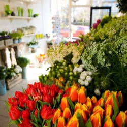 Fabulous Flowers