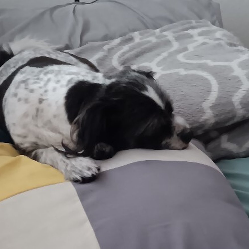 After his spa day