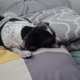 After his spa day After his spa day