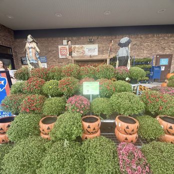 Wegmans - Grocery Near Me - Liverpool, New York Wegmans - Grocery Near Me - Liverpool, New York