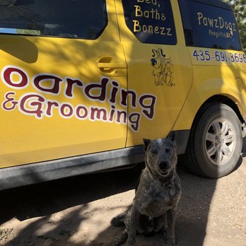 Pawzdogz - Apollo loves Pawz! - Pet Groomers Near Me - Panguitch, Utah