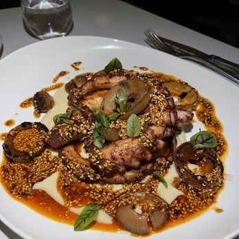 SARA - octopus - Canadian (New) Near Me - Toronto, Ontario