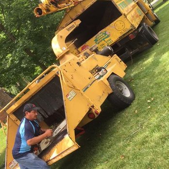 Cox's Tree Service - Tree Services Near Me Cox's Tree Service - Tree Services Near Me
