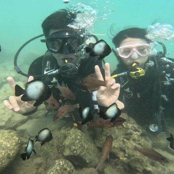 Scuba Lounge Hawaii - Scuba Diving Near Me Scuba Lounge Hawaii - Scuba Diving Near Me