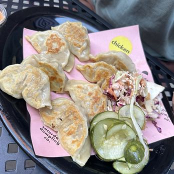 Saturday Dumpling - Pork & Cabbage Dumplings - Asian Fusion Near Me - Minneapolis, Minnesota Saturday Dumpling - Pork & Cabbage Dumplings - Asian Fusion Near Me - Minneapolis, Minnesota