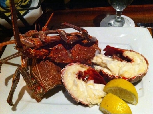 Humuhumunukunukuāpuaʻa by null