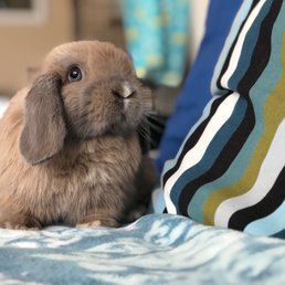Poopsie was nine weeks when we took her home.
