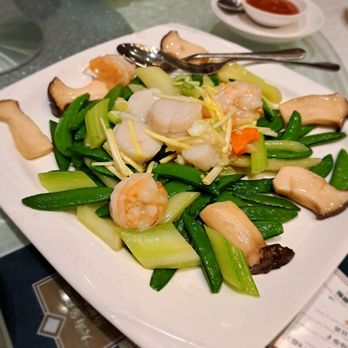 Starchiva - Stir Fried Shrimp & Scallop with Celery - Chinese Near Me - Richmond Hill, Ontario Starchiva - Stir Fried Shrimp & Scallop with Celery - Chinese Near Me - Richmond Hill, Ontario