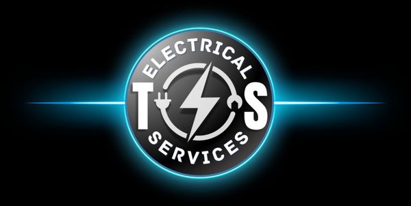 TS　ENNOY ELECTRIC LOGO XL l.jpg