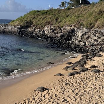 Hawaii by Storm  - Tours Near Me