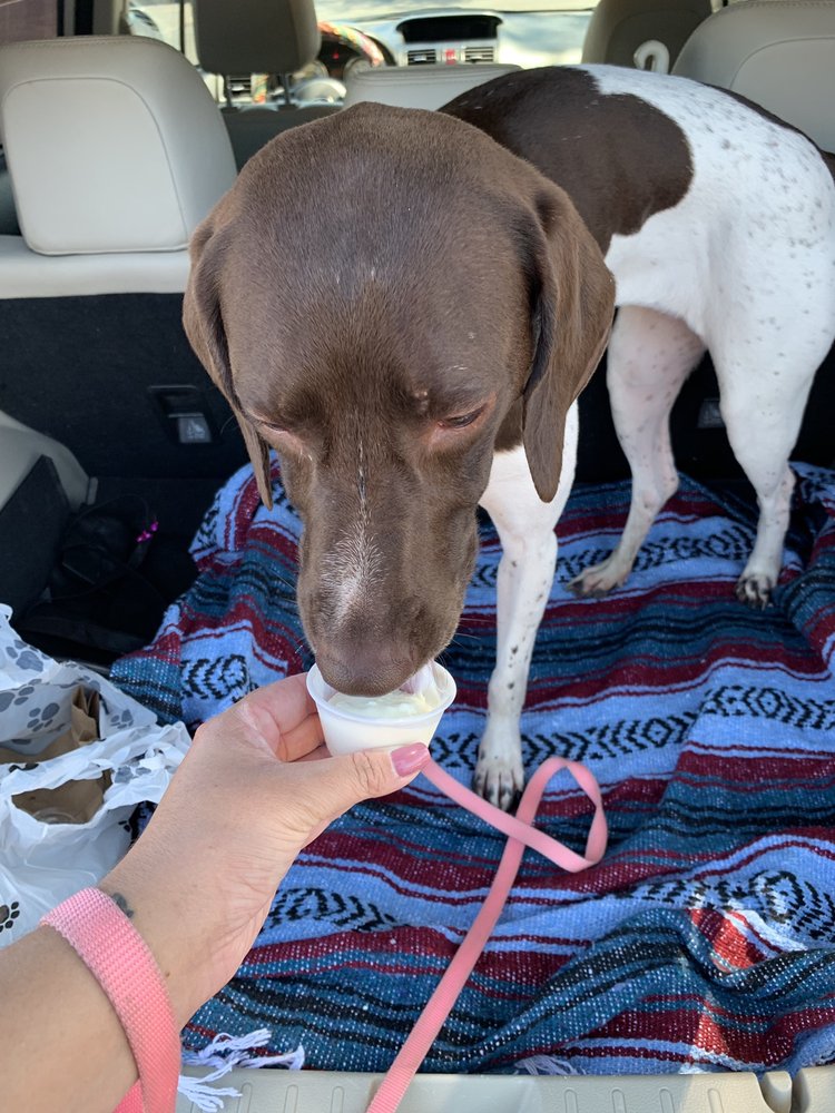 WOOF...cool stuff for dogs