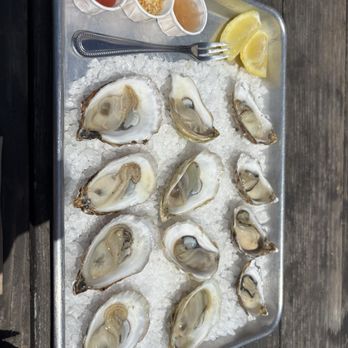Fruition Brewing - Oysters were great, just wish they were colder on a bed of ice instead of the decorative whatever those are - Brewpubs Near Me - Watsonville, California