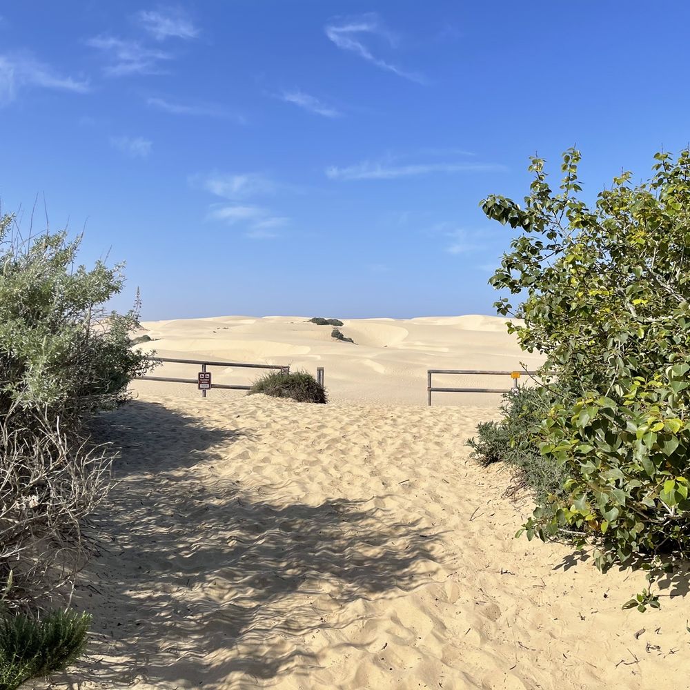 Pacific Dunes Ranch Campground - RV Parks Near Me - Oceano, California Pacific Dunes Ranch Campground - RV Parks Near Me - Oceano, California