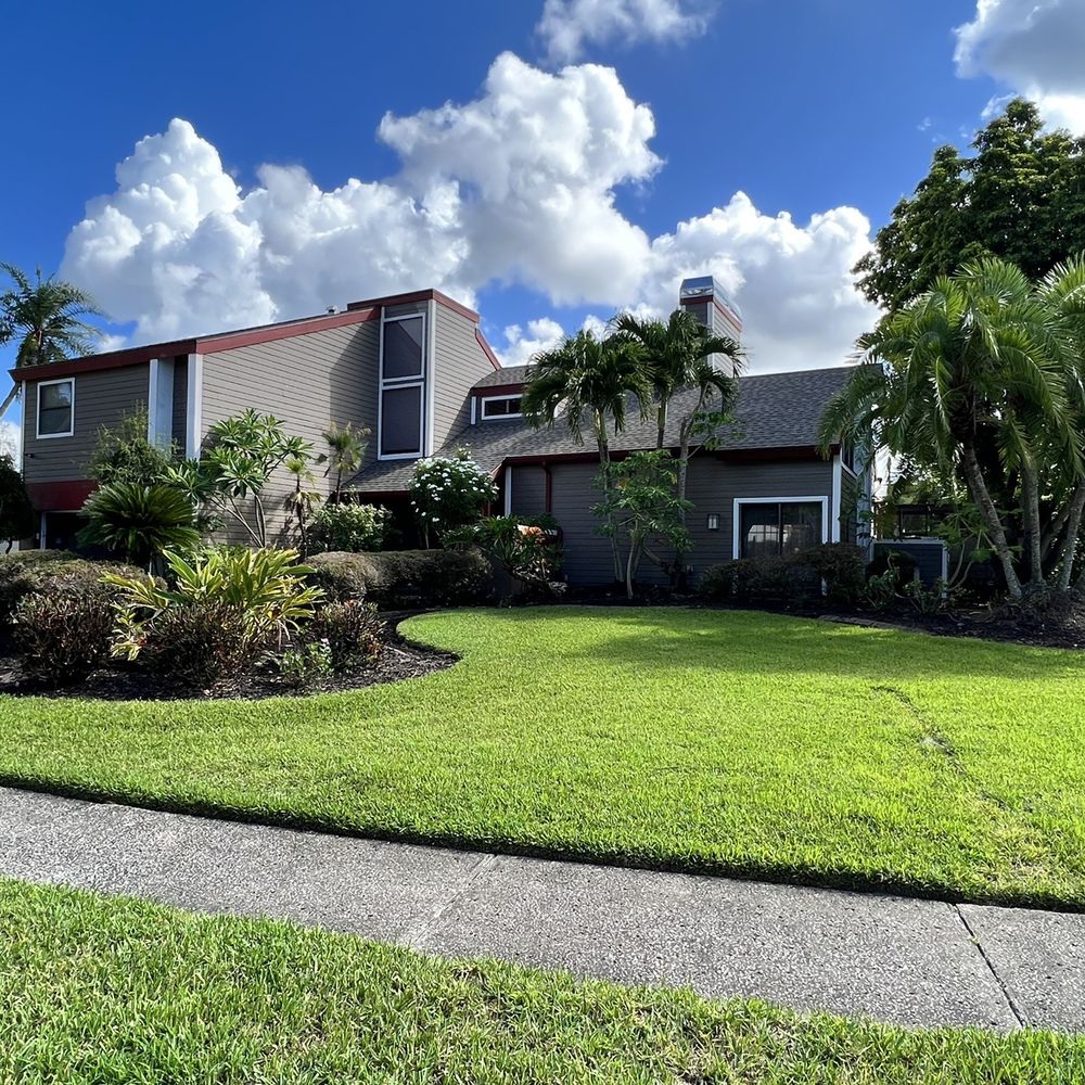 Cds landscaping - Landscape has been tamed with mulch added. Palm trees lit and irrigation working fine. - Landscaping Near Me - Saint Petersburg, Florida