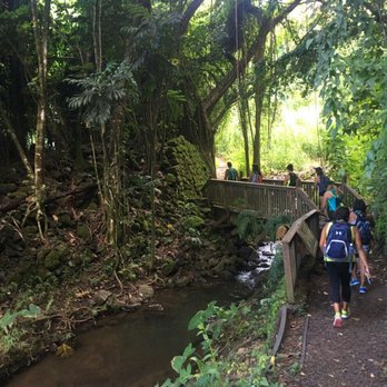 Makiki Valley Trail - Leaving this awesome trail - Hiking Near Me - Honolulu, Hawaii Makiki Valley Trail - Leaving this awesome trail - Hiking Near Me - Honolulu, Hawaii