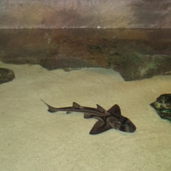 Aquarium d'Amneville