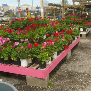 Cristinas Garden Center - Nurseries & Gardening Near Me - Dallas, Texas Cristinas Garden Center - Nurseries & Gardening Near Me - Dallas, Texas