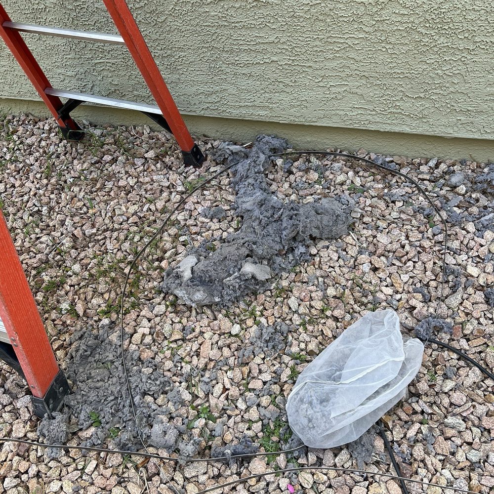 Lint Busters - Part of the aftermath. They cleaned it all up after the vent was clear. - Chimney Sweeps Near Me - Henderson, Nevada Lint Busters - Part of the aftermath. They cleaned it all up after the vent was clear. - Chimney Sweeps Near Me - Henderson, Nevada