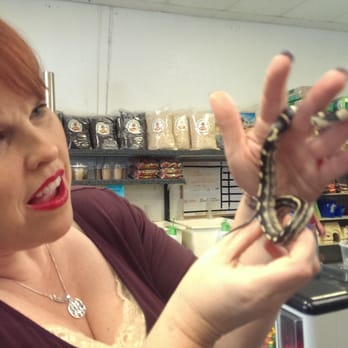 Zookeeper - Holding a kingsnake. - Pet Stores Near Me - Austin, Texas Zookeeper - Holding a kingsnake. - Pet Stores Near Me - Austin, Texas