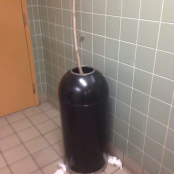 Albertsons - What the...: is a Treebranch doing in a bathroom LOL - Grocery Near Me - Tujunga, California