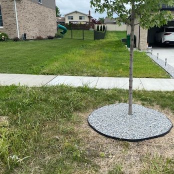 Bernardin Landscaping - a small tree in the front yard - Lawn Services Near Me - Mokena, Illinois