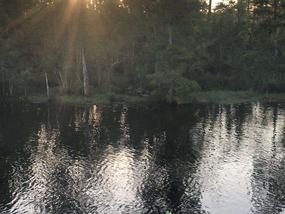 OLD BLACKWATER RESTAURANT LITTLE RIVER MARINA & RV PARK Updated August 2024 3200 Dumas Rd