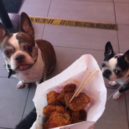 Popcorn chicken extra spicy. Sorry dogs, too spicy for you, I will eat it all myself, thank you.