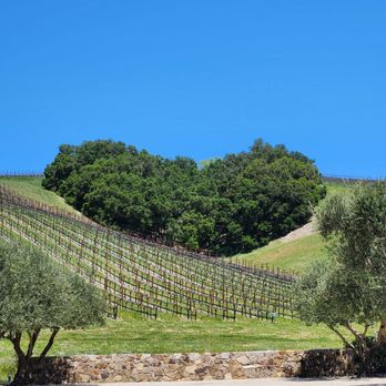 Niner Wine Estates - Picture time! - Wine Tasting Room Near Me - Paso Robles, California Niner Wine Estates - Picture time! - Wine Tasting Room Near Me - Paso Robles, California