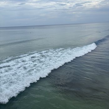 Crabby Joe's Deck & Grill - Manatees (in the water) - Seafood Near Me - Daytona Beach, Florida