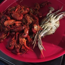 Crawfish and a crab full of eggs and fat Crawfish and a crab full of eggs and fat