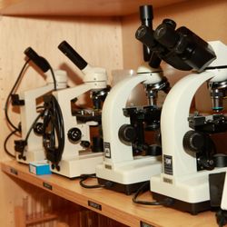 Montessori Community School - Science lab